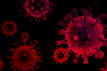 Bloodborne Pathogens (BBP)
